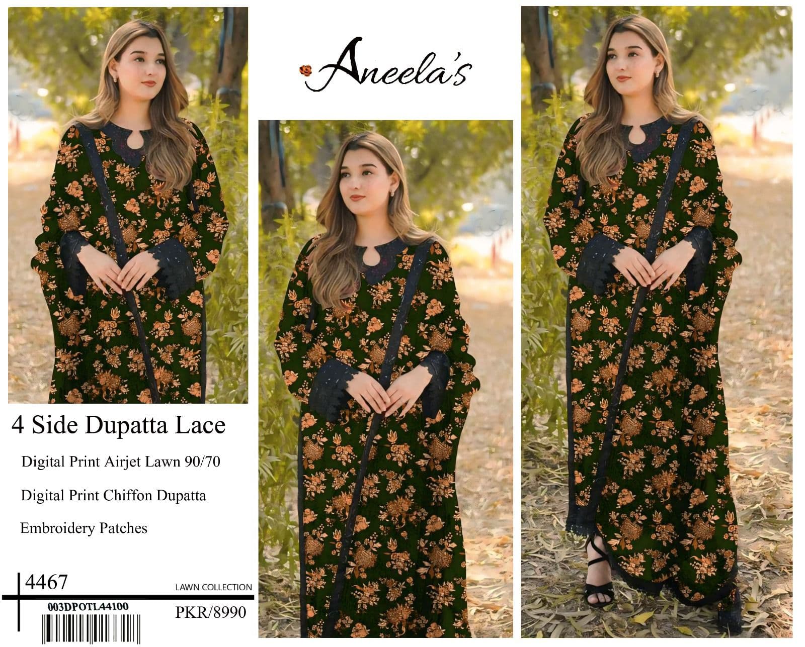 Aneela's Lawn